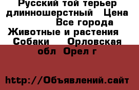 Русский той-терьер длинношерстный › Цена ­ 7 000 - Все города Животные и растения » Собаки   . Орловская обл.,Орел г.